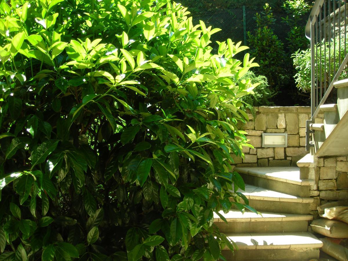 La Folaga Bed & Breakfast Gavirate Luaran gambar